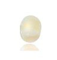 Opal 6.91 cts